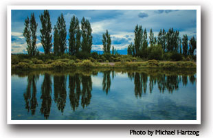 Reflection of trees in water in the San Luis Valley, Colorado, Photo by Michael Hartzog